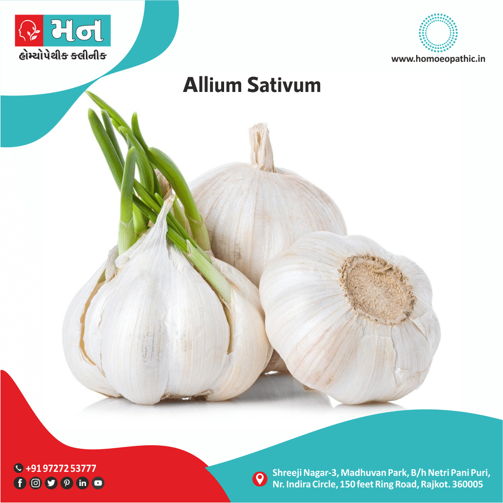 Allium Sativum Symptoms Use Memory tips Homeopathic Medicine Treatment Homeopathy Doctor Clinic in Rajkot Gujarat India