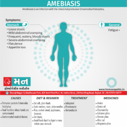 Amebiasis Definition Symptoms Cause Diet Regimen Homeopathic Medicine Homeopath Treatment in Rajkot India