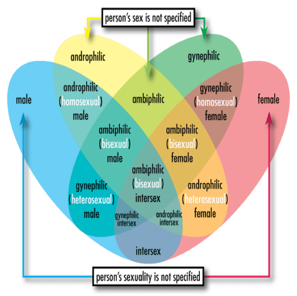 Disorders Of Sexual Preference Definition Symptoms Cause Diet Regimen Homeopathic Medicine Homeopath Treatment In Rajkot India
