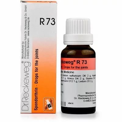 R73 Spondarthrin Joint Pain Drops 22ml Best Homeopathic Medicine For Relieves Pain Stiffness Of Joints Pain In Knee Joint Dr. Reckeweg