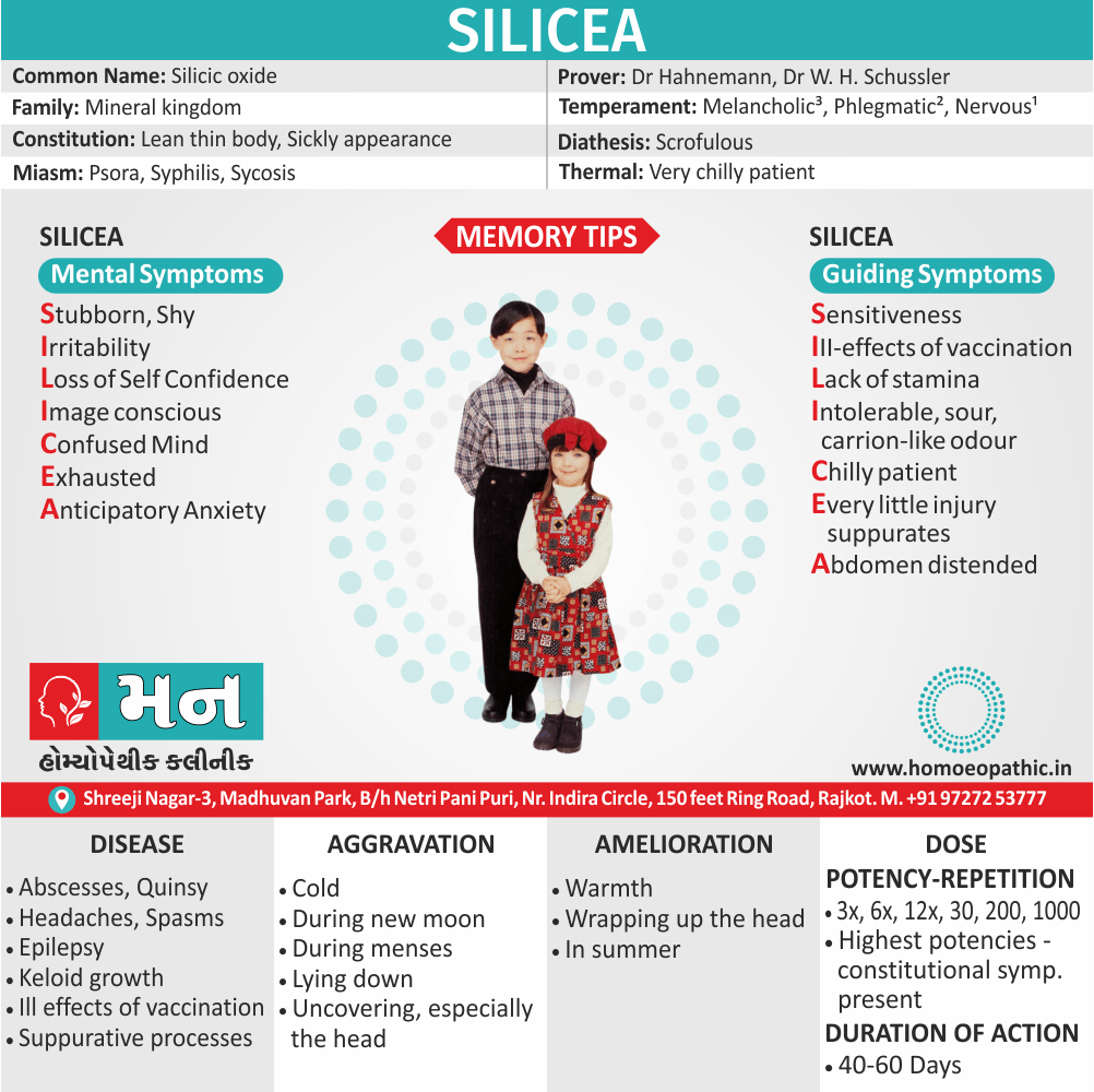 Silicea Homeopathy Medicine Memory Tip Symptoms Constitution Use Disease Dose Potency Repetition Drug Picture Mann Homoeopathic Clinic Rajkot